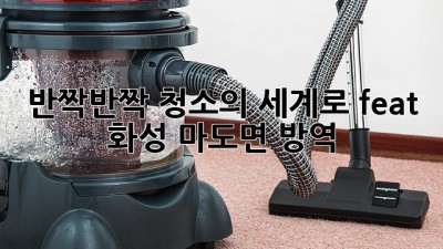 ✨ 반짝반짝 청소의 세계로! (feat. 화성 마도면 방역) 🏡