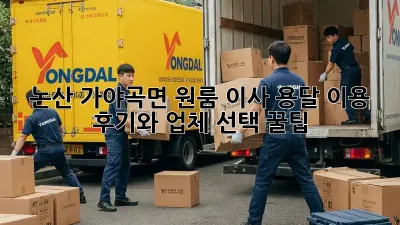 논산 가야곡면 원룸 이사? 용달 이용 후기와 업체 선택 꿀팁!