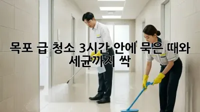목포 급 청소, 3시간 안에 묵은 때와 세균까지 싹! ✨